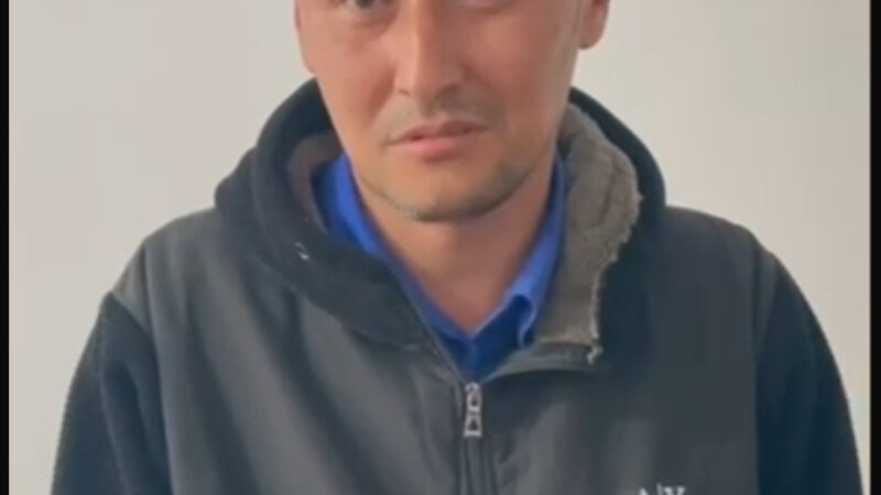 Коомдук автобус айдап бара жатып телефон караган айдоочуга чара көрүлдү