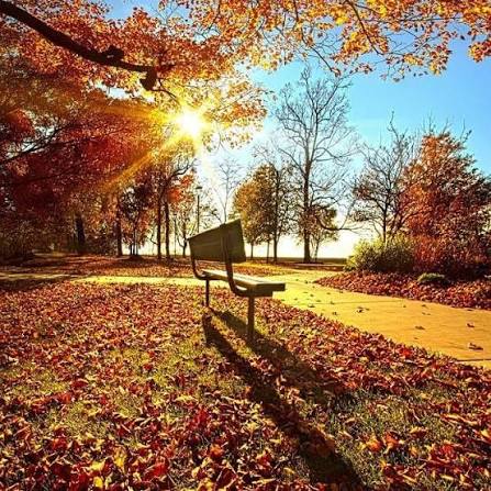 14-ноябрда өлкө аймагында күн ачык болот. Маанайыңыз ачык болсун окурман!