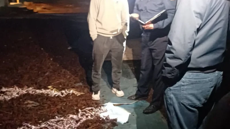 Сокулукта үйүнө 1425 кг “эндик чөбүн” сактаган кытай жараны кармалды