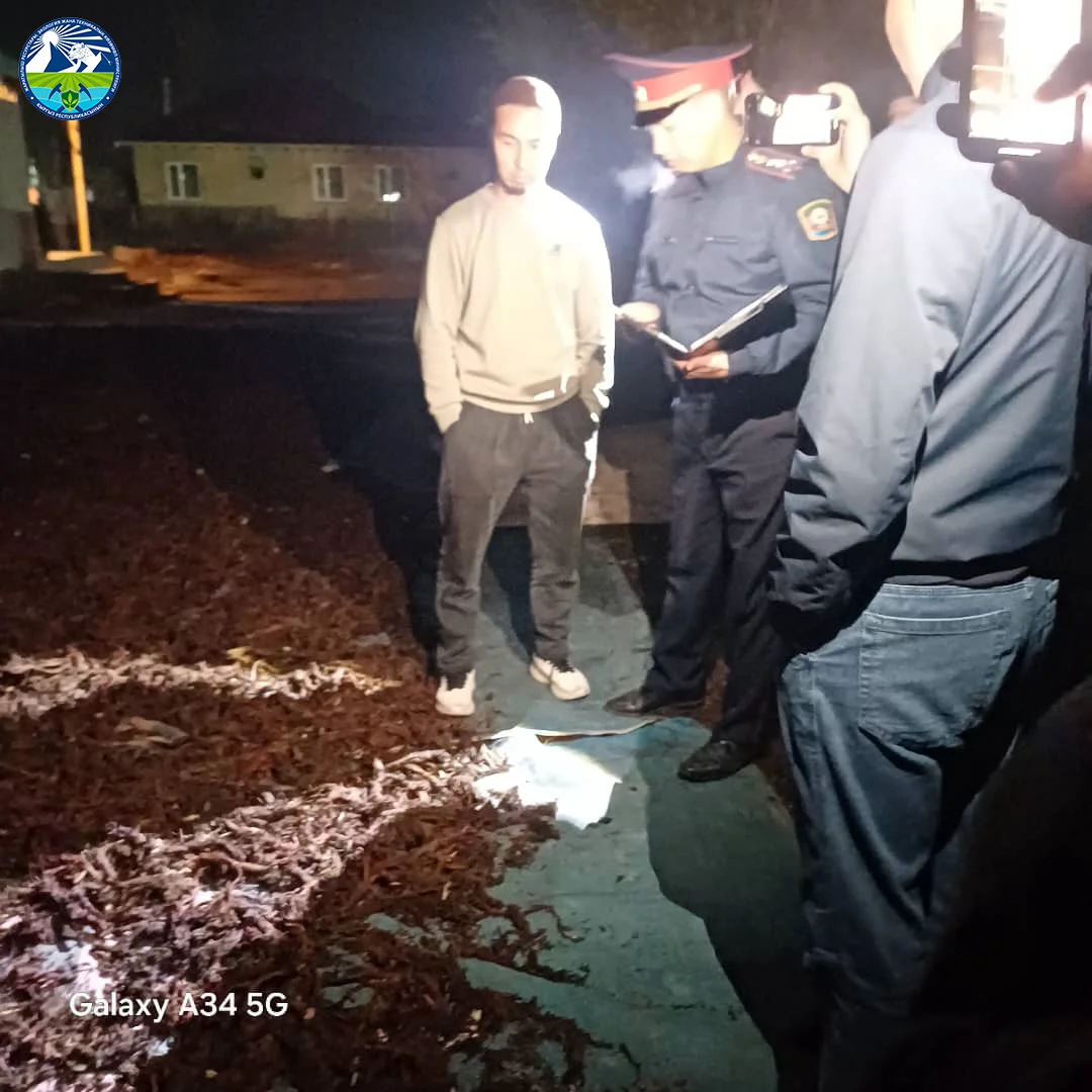 Сокулукта үйүнө 1425 кг “эндик чөбүн” сактаган кытай жараны кармалды