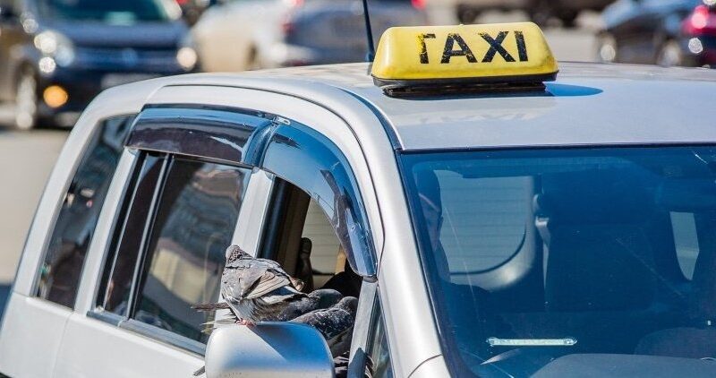 Эскертүү! 1-декабрдан тарта оң рулдуу унааларга тыюу салынат