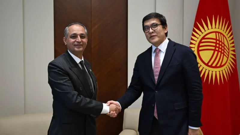 Байсалов Пакистандын Кыргызстандагы элчиси Алтамаш Вазир Хан менен жолукту