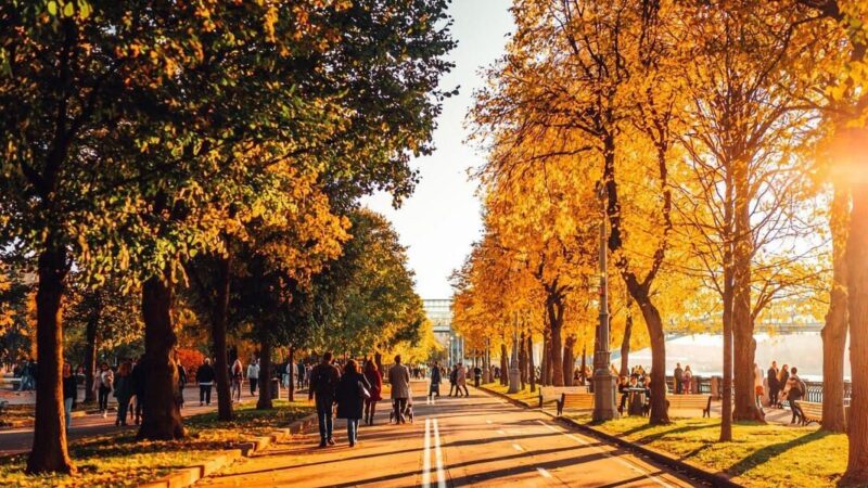 “Эми келди сенин дагы кезегиң, Моюн сунуп, жакшы ишиңди өтөгүн”. Жакшы иште жарышалы, замандаш!