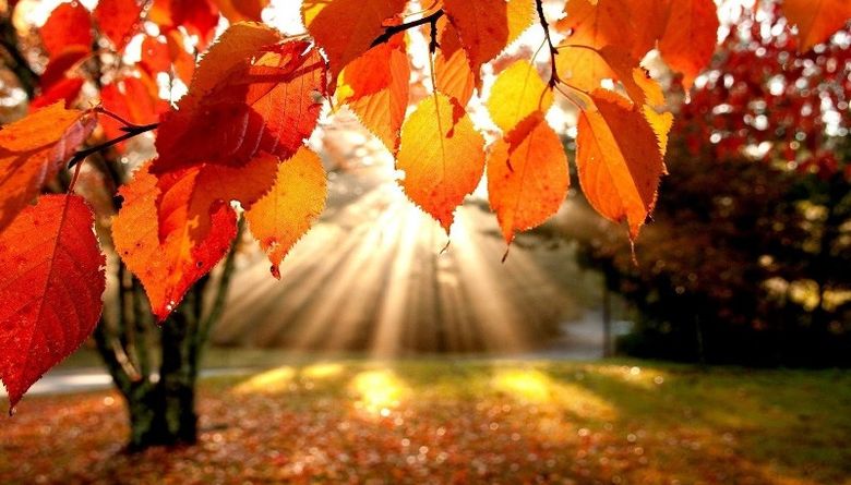 “Кырсык тоорубасын, Көңүл оорубасын!” Кутман таң, окурманым…