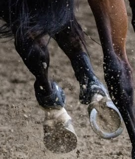 Ноокатта аттан кулаган 15 жаштагы өспүрүм көз жумду