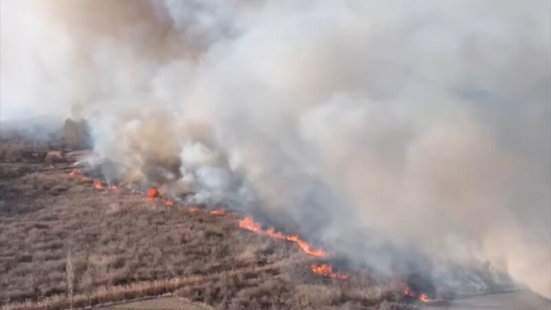 Токмоктогу “Заказник” жаратылыш аймагында ири өрт чыкты
