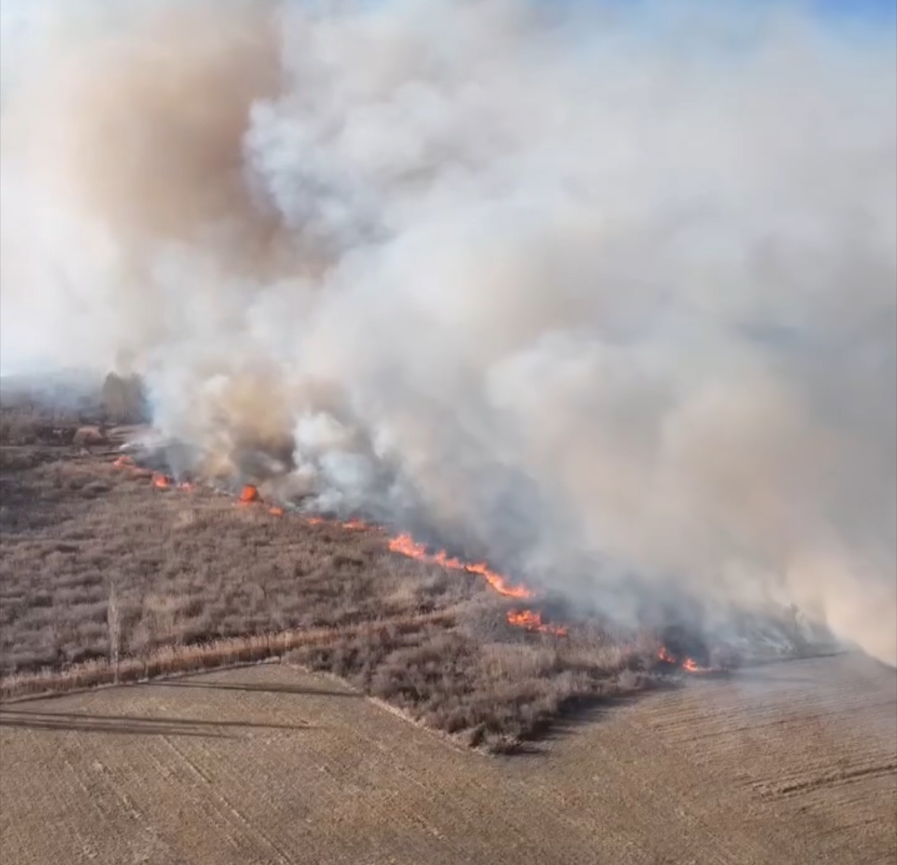 Токмоктогу “Заказник” жаратылыш аймагында ири өрт чыкты