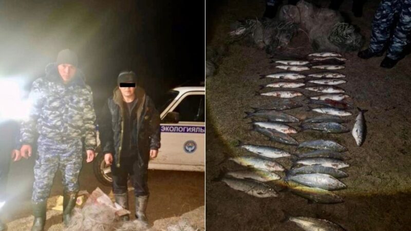 Торунан 80 балык табылган. Көлдө балык уулаган жаран кармалды