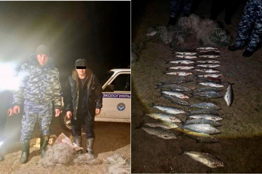 Торунан 80 балык табылган. Көлдө балык уулаган жаран кармалды