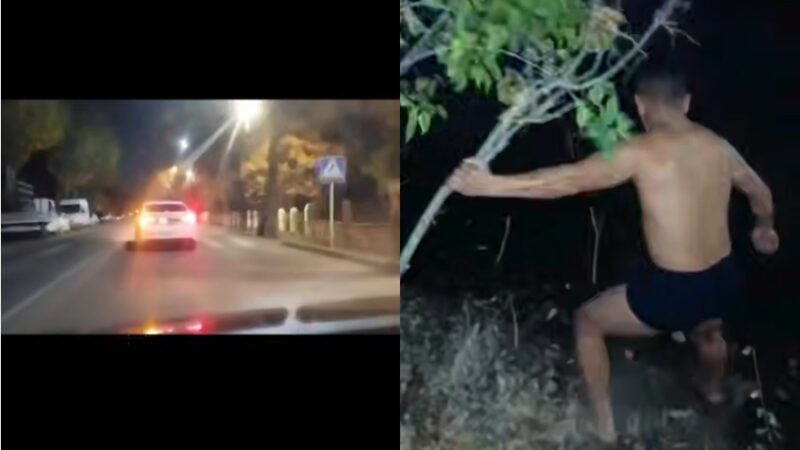 Мас айдоочу кайгуулчулардан качып Чоң Чүй каналына секирип кетти