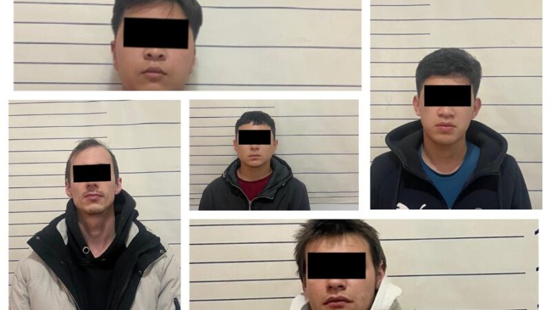 Бишкекте 71 жаштагы апаны батирин саттырып алдап кеткен шылуундар кармалды