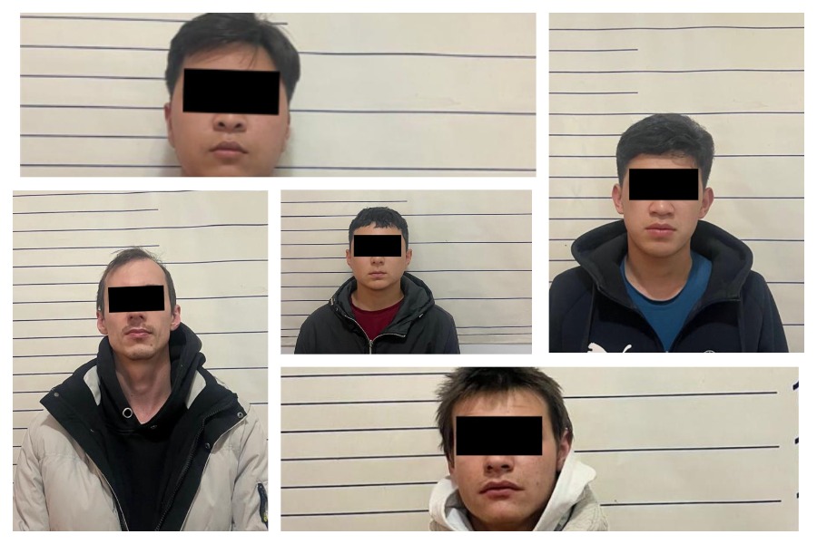 Бишкекте 71 жаштагы апаны батирин саттырып алдап кеткен шылуундар кармалды