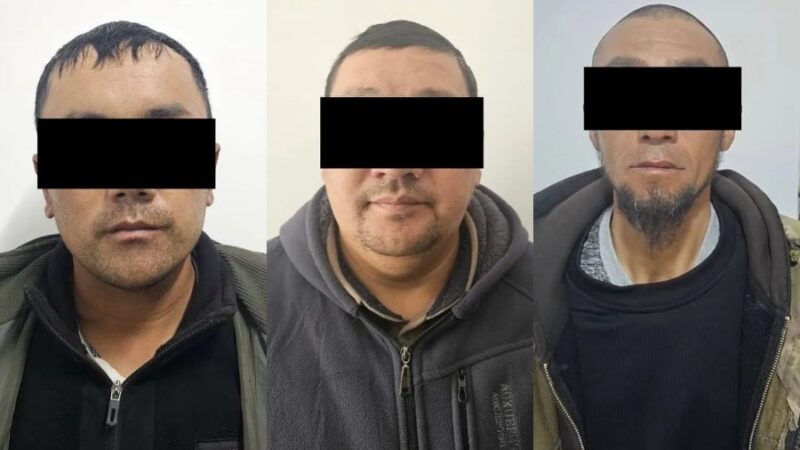 Айылдашынын 41 топозун уурдаган жаран кармалды