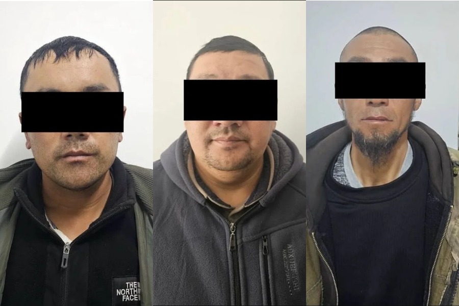 Айылдашынын 41 топозун уурдаган жаран кармалды