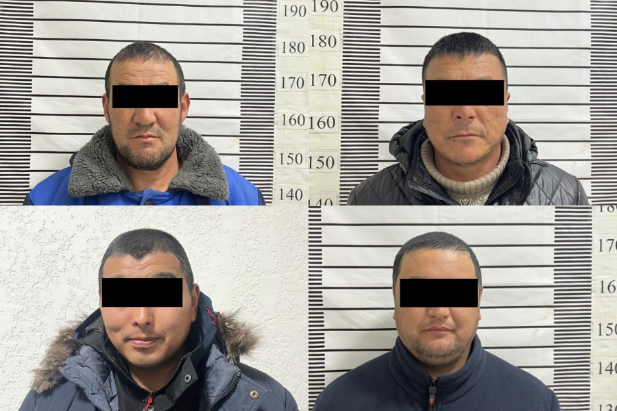 Бири милиция кызматкери… Көлдө ток менен балык кармаган 4 жаран кармалды