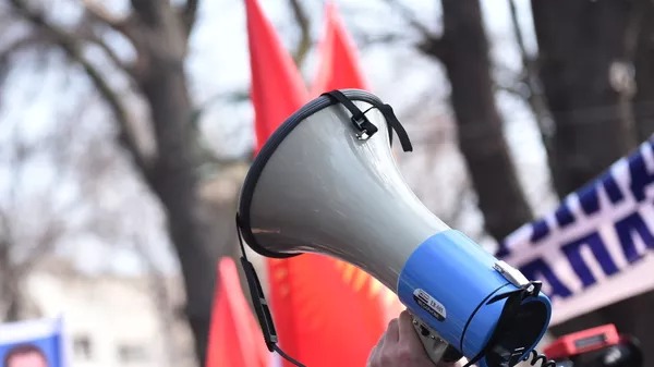 ЖК депутаттарын мөөнөтүнөн мурда шайлоо. Үгүт иштери башталды