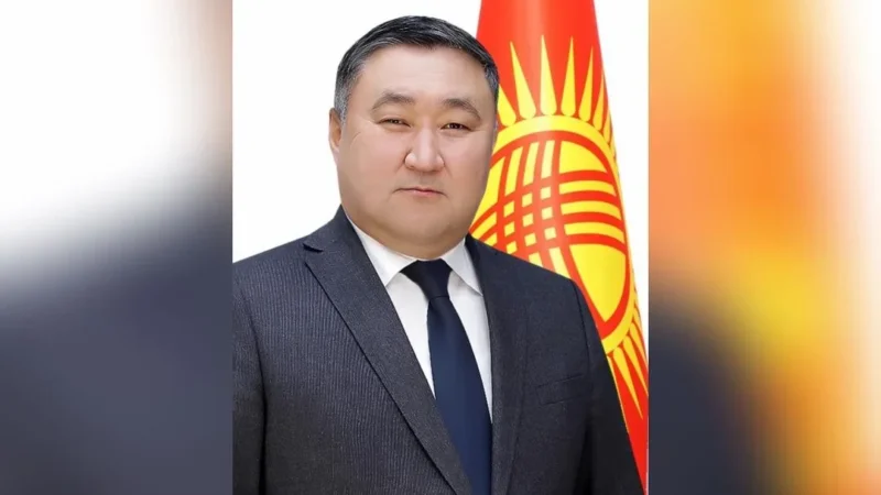 Эрмек Казаков Соцфонддун төрагасынын орун басары болуп дайындалды