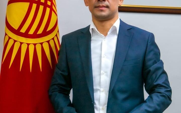 Тимур Малбашев Мамлекеттик мүлктү башкаруу агенттиктин директорлугунан бошотулду