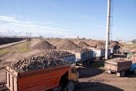 Эми кант кызылчасын өткөрүү үчүн онлайн кезекке турушат