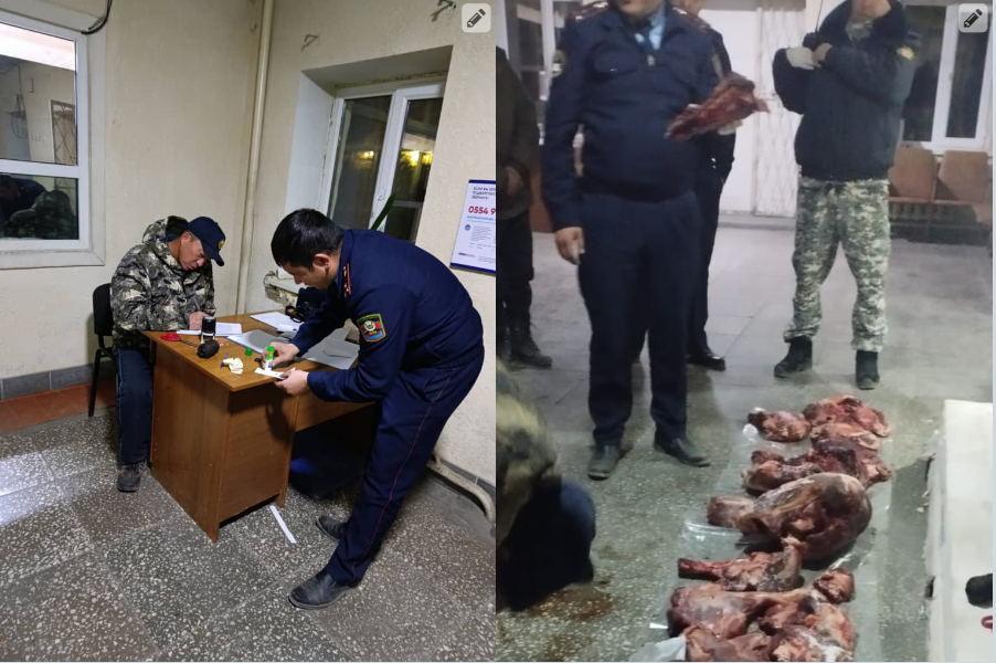 Ат-Башы: Тоо теке аткан аңчы кармалды