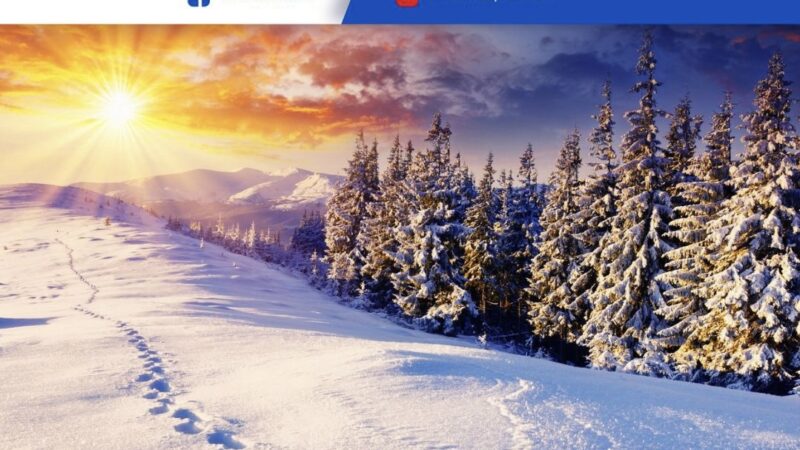 Аппак карды күтүп жаткандар барбы? Кутман таң, окурман!