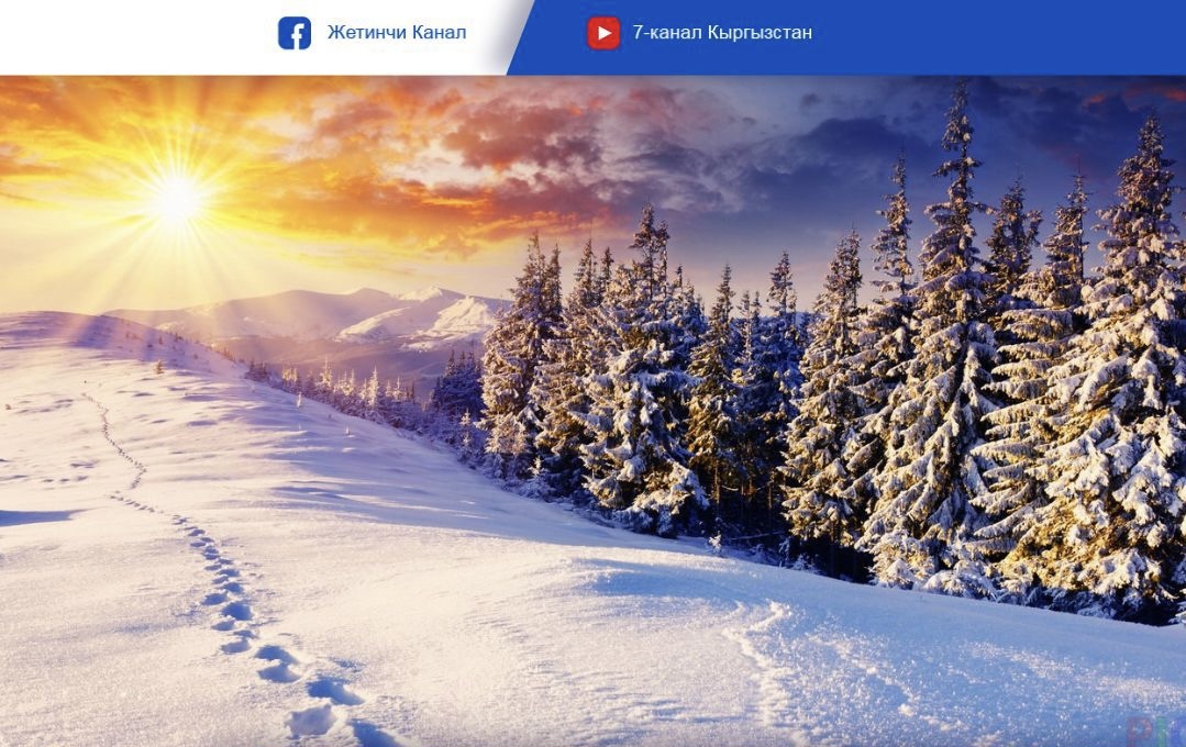 Аппак карды күтүп жаткандар барбы? Кутман таң, окурман!