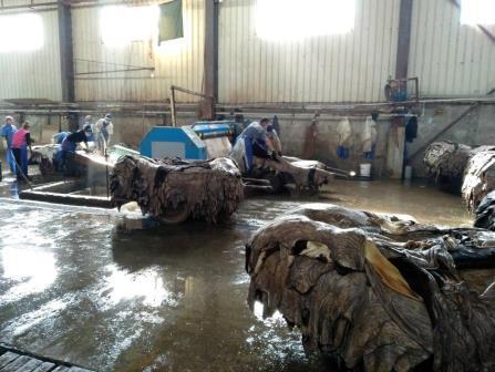 Ысык- Атада терини кайра иштетүүчү завод курулат