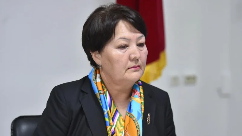 Министр: «Министрлик агартуу тармагына жаңычыл, жаш кадрларды тартууга абдан кызыкдар»