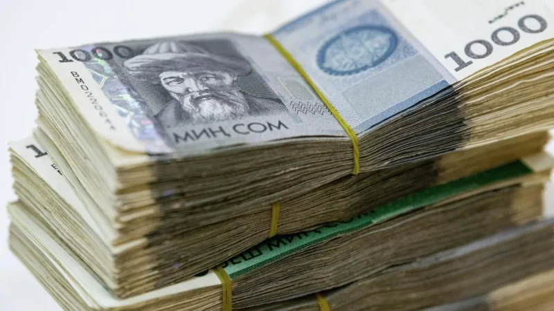 БШК: №13 округдагы кайра шайлоого 18,5 млн сом жумшалат