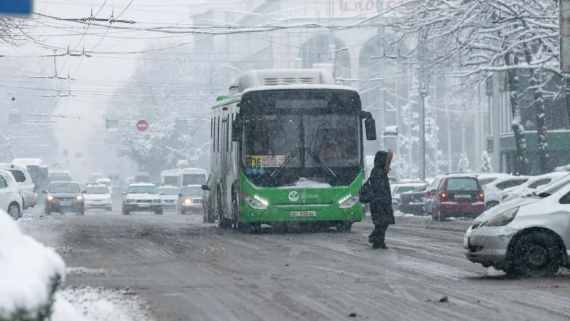 Күч түзүмдөрүнүн пенсионерлери коомдук транспортто акысыз жүрүшү мүмкүн