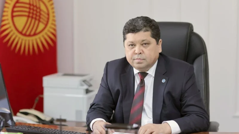 БШК шайлоодогу мыйзам бузуулар боюнча билдирүүлөр боюнча кайрылуу жасады