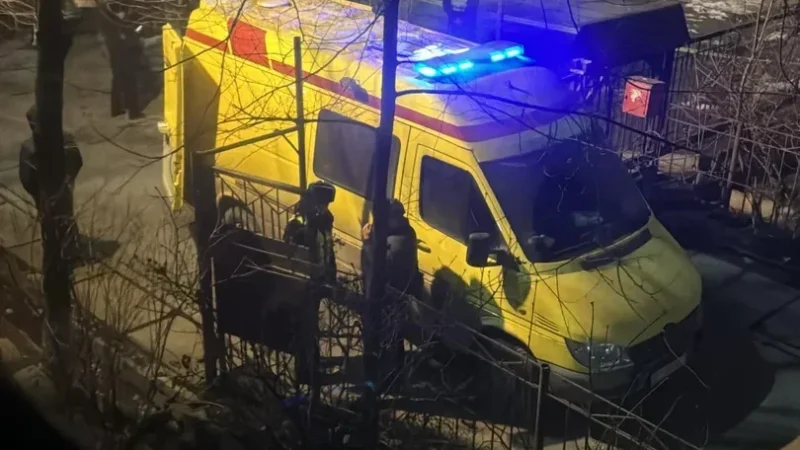 Күйөөсү тарабынан атып өлтүрүлгөн аял. УКМК кайдыгерлик кылган жактарга баа берет