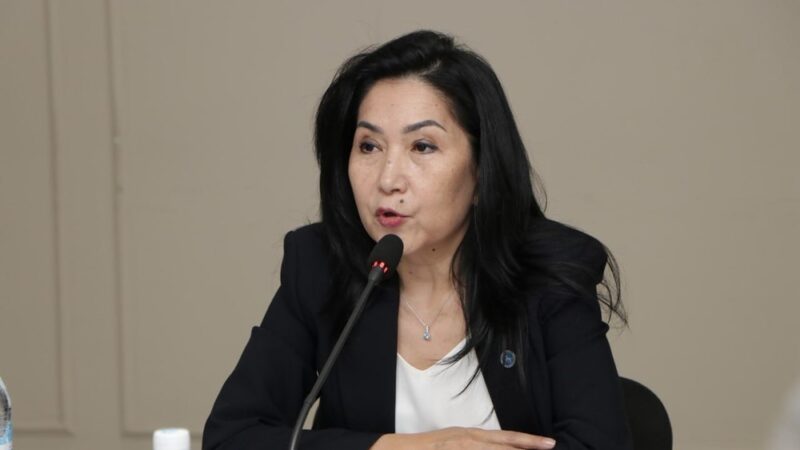 Акбалык Жумалиева: Ички миграциядагы жарандарыбызга аралыктан добуш берүү жакшы мүмкүнчүлүк болду