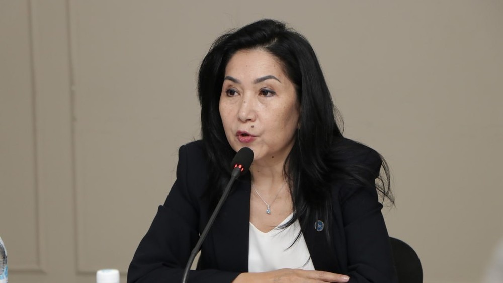 Акбалык Жумалиева: Ички миграциядагы жарандарыбызга аралыктан добуш берүү жакшы мүмкүнчүлүк болду