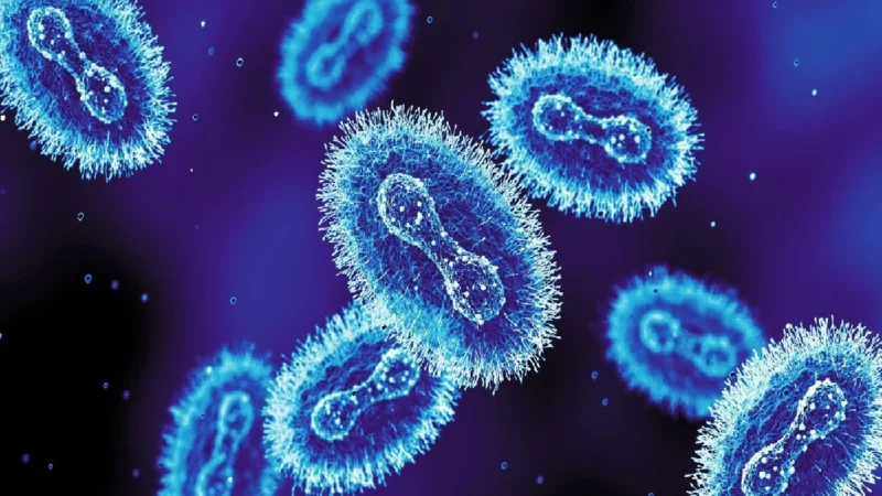 Улуу Британияда жаңы коркунучтуу вирус штаммы аныкталды