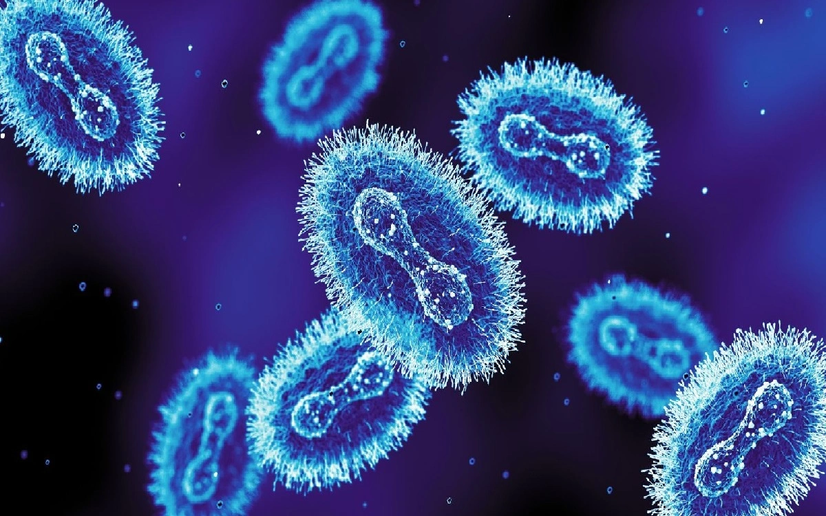 Улуу Британияда жаңы коркунучтуу вирус штаммы аныкталды