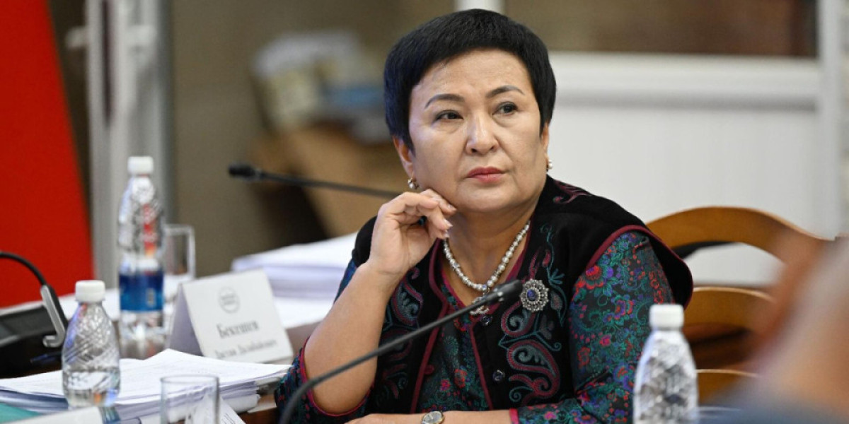 Депутат баатыр энелердин жөлөкпулун көбөйтүүнү сунуштады