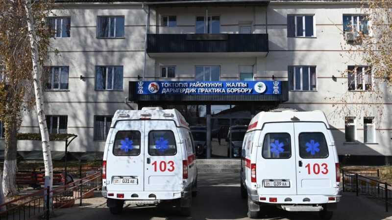 Министрлик: Майрам жана дем алыш күндөрү ооруканалар күчөтүлгөн тартипте иштейт