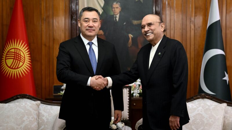 Садыр Жапаров Пакистандын президенти Асиф Али Зардари менен сүйлөшүүлөрдү жүргүздү