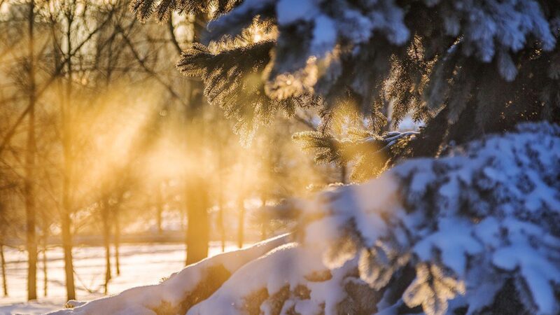 Жакшы өмүр — жакшы ойлордон турат. Кутман таң, окурманым!