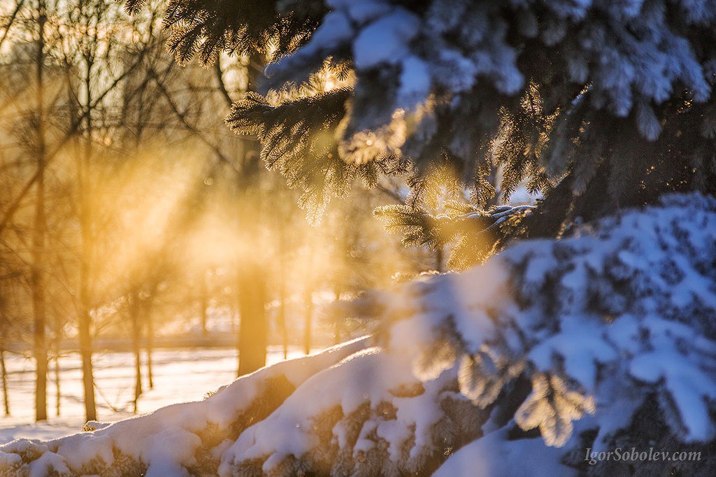 Жакшы өмүр — жакшы ойлордон турат. Кутман таң, окурманым!