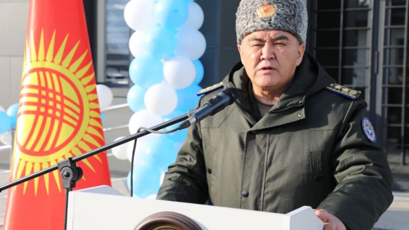 Таштиев: «Мыкаачылык менен өлтүрүлгөн Жибектин өлүмүнө укук коргоо органдарынын шалаакылыгы негиз болду»