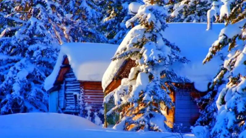 Ар бир аткан таң, жашообузду өзгөртүүгө чоң мүмкүнчүлүк! Кечээки күндөн мыкты болууга аракет кыл, окурманым!