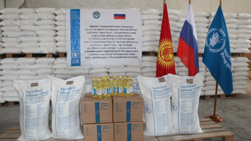 Кыргызстанга Россиядан 1 147 тоннага жакын гумжардам келди