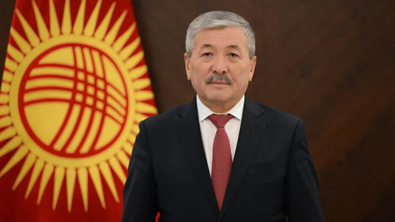 Касымалиев майыптыгы бар адамдардын эл аралык күнүнө карата кайрылуу жасады