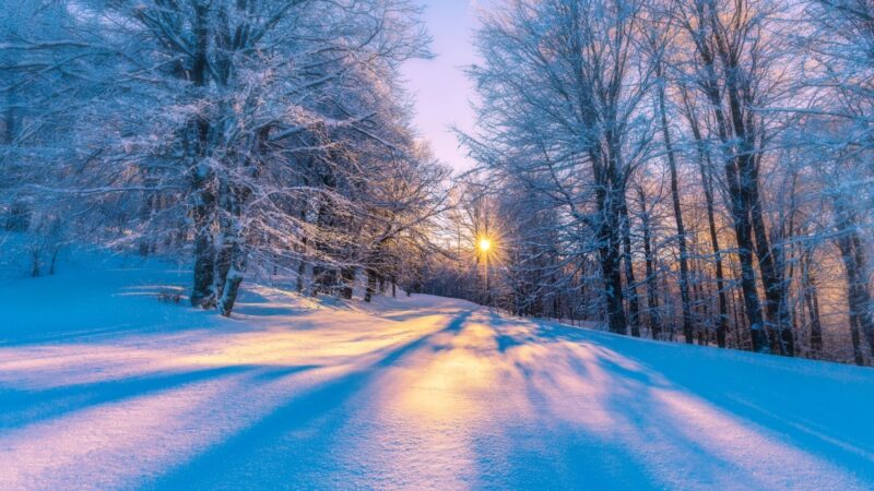 Кыялдар ишке ашпайт, эгерде сиз аракет кылбасаңыз. Кутман таң, окурманым!