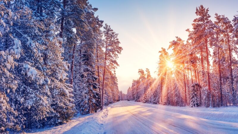 Өнүгүүнүн өзгөрүүсүз жолу бар, а дегенде оңдош керек пейилди. Кутман таң, катталуучум!