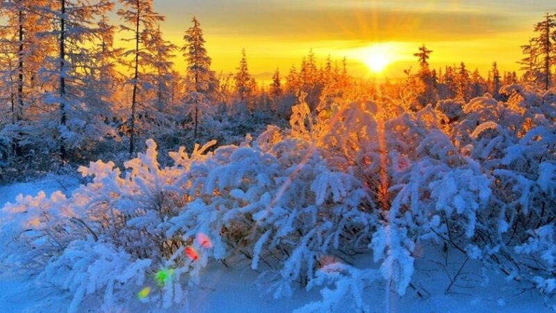 Кутман таң, замандашым. Өмүр сүрүү — сизге берилген белек. А бактылуулук — сиздин тандооңуз!