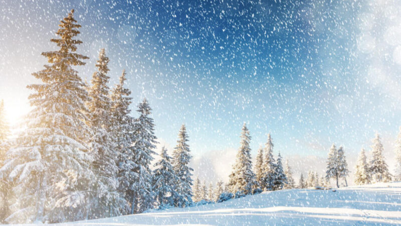 8-декабрга карата аба ырайы менен таанышып алыңыздар