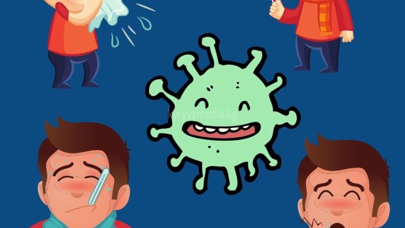 Мэрия: Балаңыздан сасык тумоонун белгилери байкалса мектепке жөнөтпөңүз